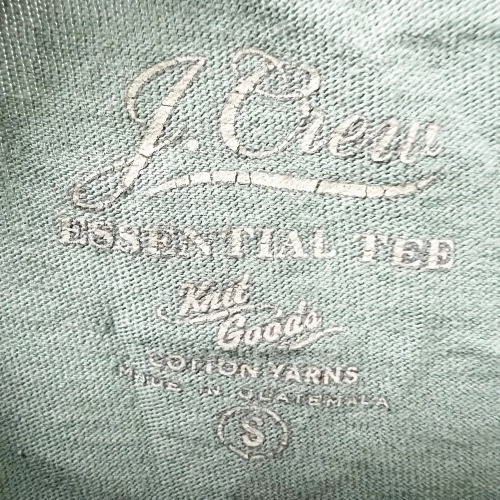 J. Crew Mens Essential Tee Short Sleeve in Green